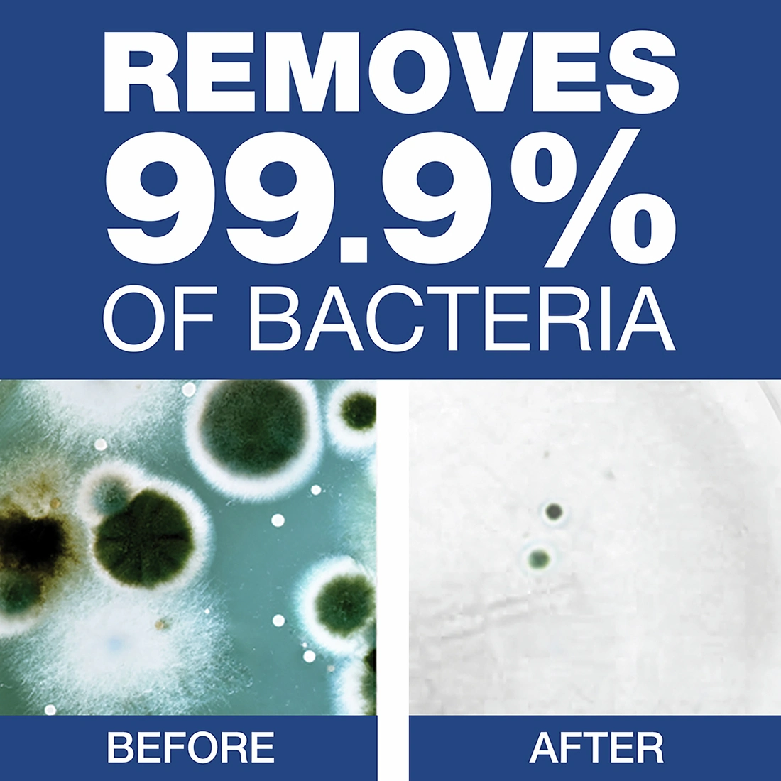 Safeguard Liquid Anti-Bacterial Hand Soap