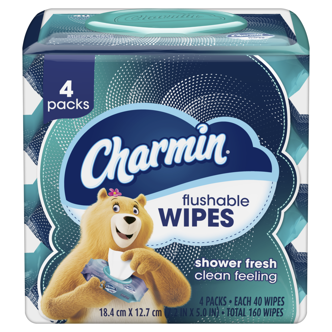 charmin-flushable-wipes-p-g-professional