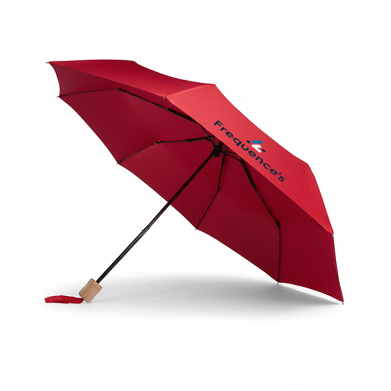 Parapluie Dane