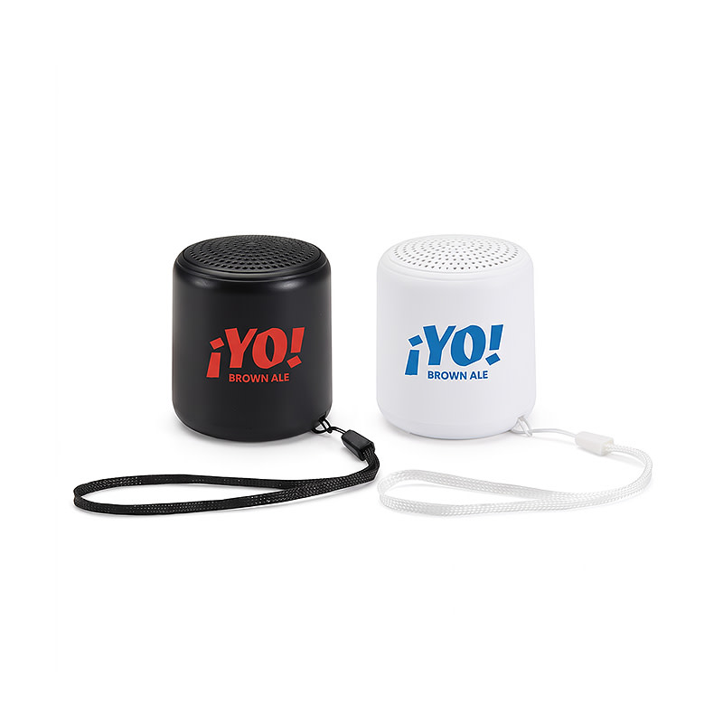Enceinte sans fil Bluetooth® Velkis