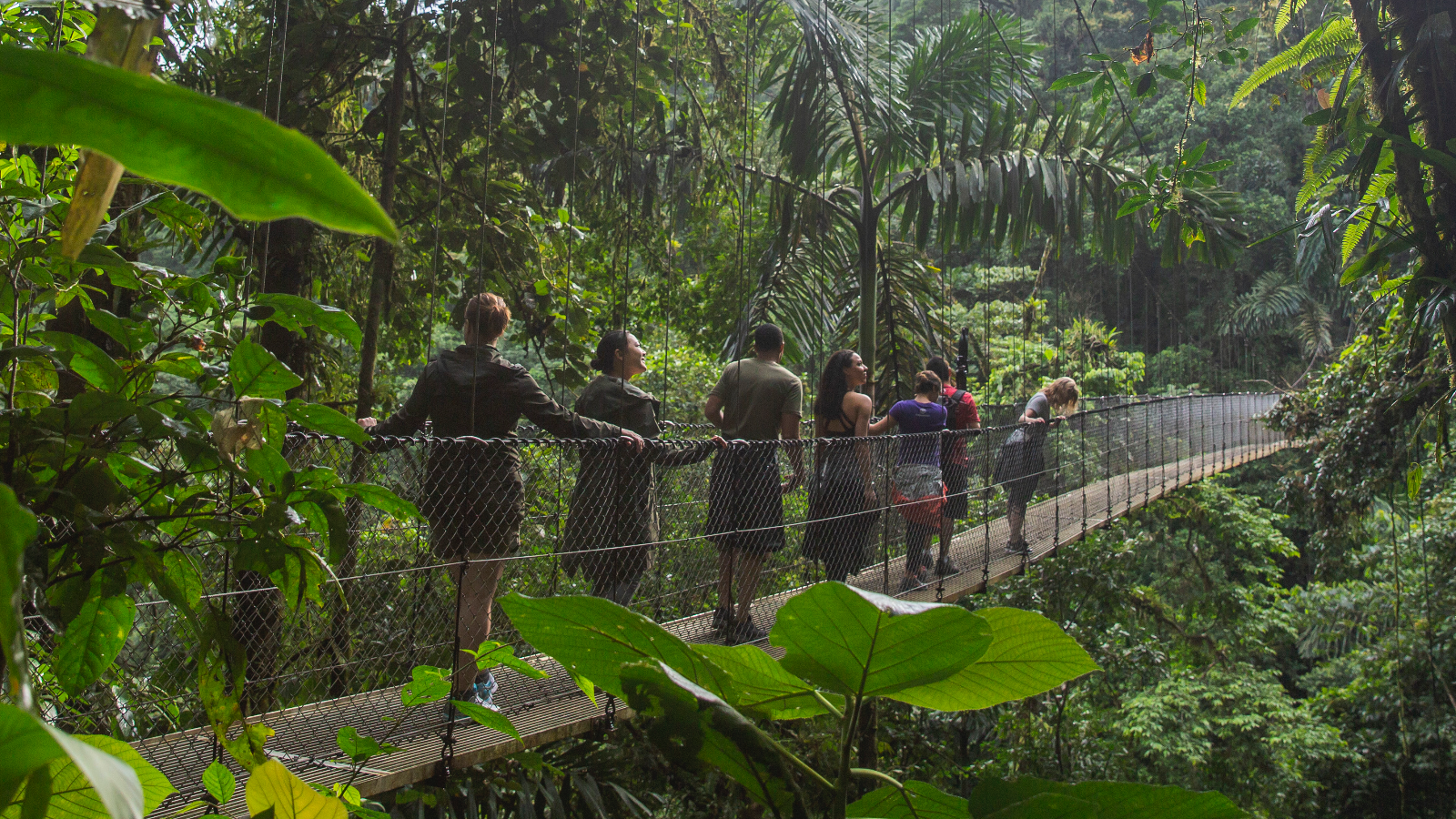 Follow that bird: a Costa Rica photo tour