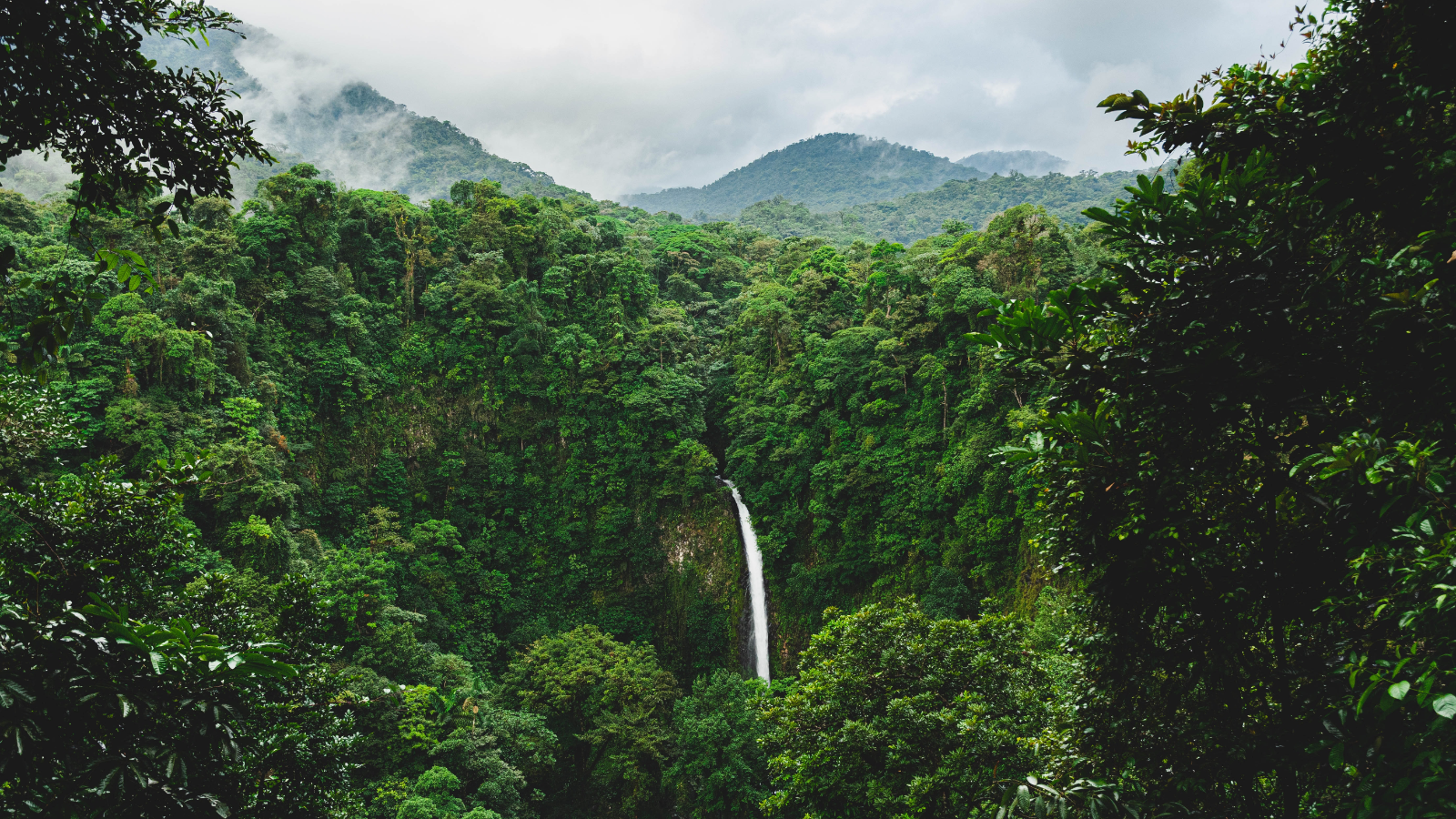 Feel it all on a five senses Costa Rica tour