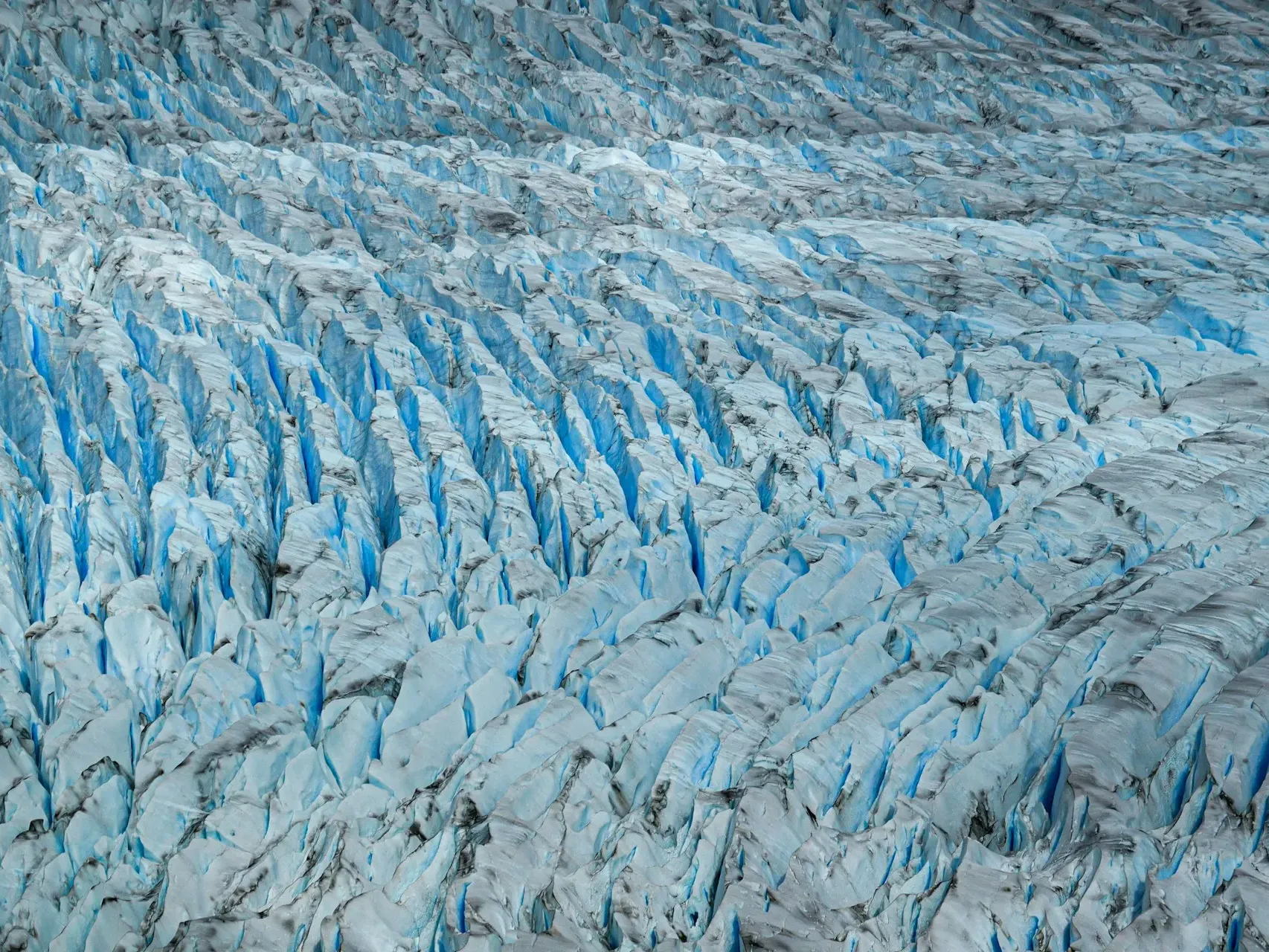 Spectacular Grey Glacier