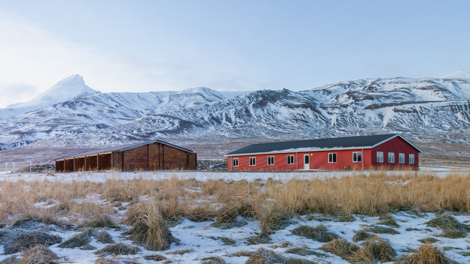 6 things you should eat (and drink) in Iceland