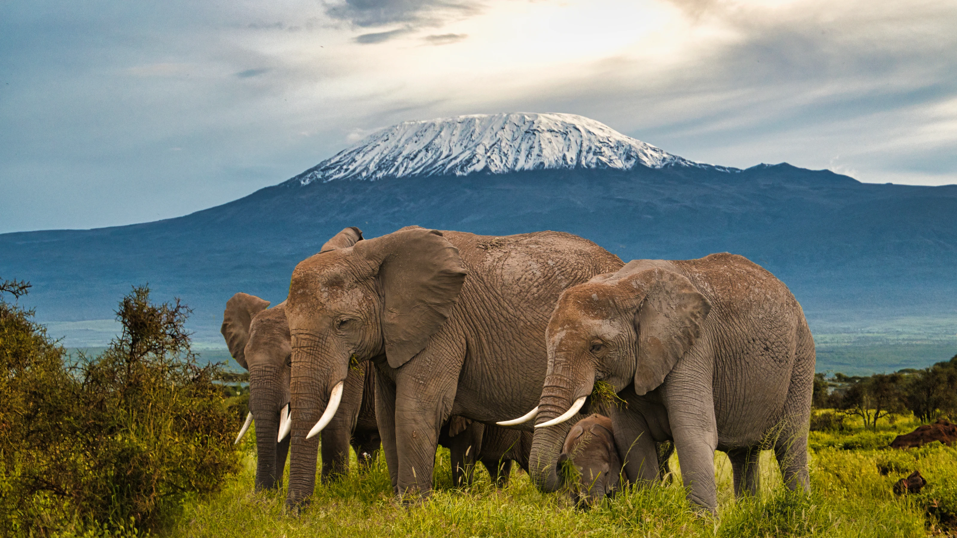 When is the best time to visit Kenya?