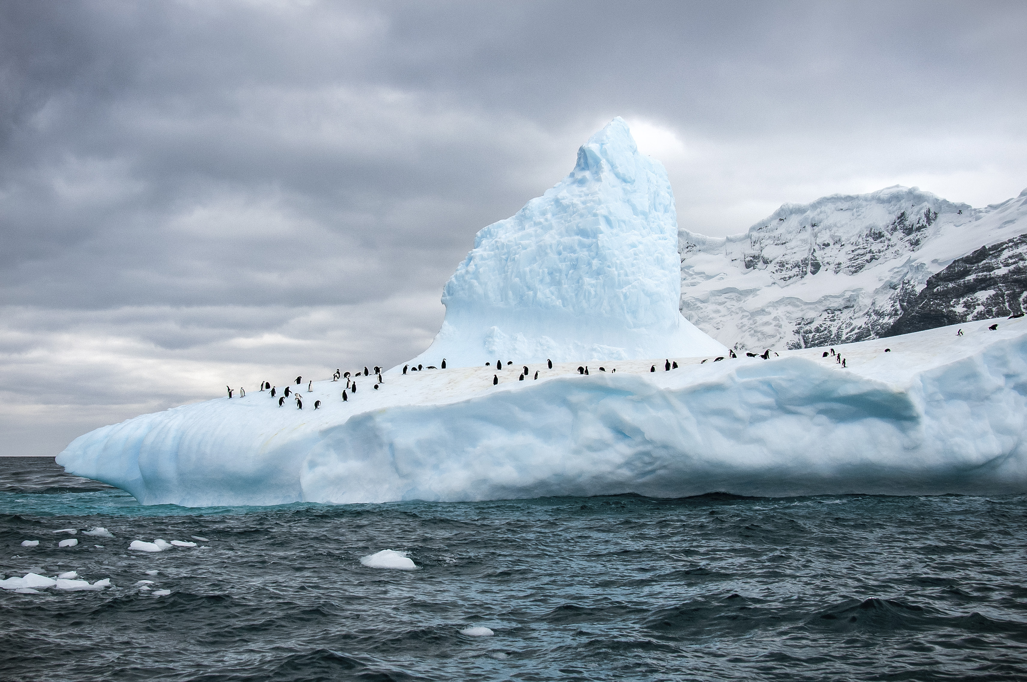 Planning a trip to Antarctica? Here are 7 experiences you can’t miss