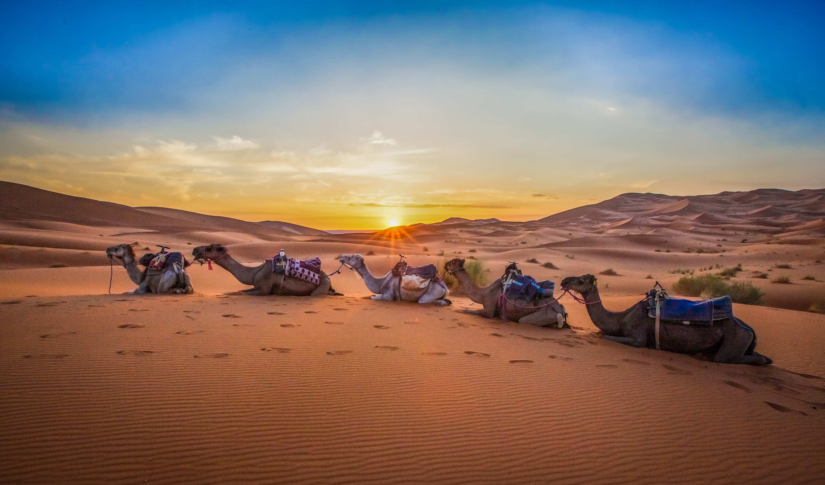Why travel as a solo female? And why Moroccan solo female travel might surprise you