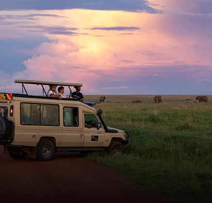 Safari vehicle on grassland savanna with elephants in distance under dramatic pink and purple sunset sky