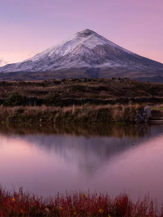 Snow-capped mountain reflected in still water at dusk, with purple sky and grassy foreground.