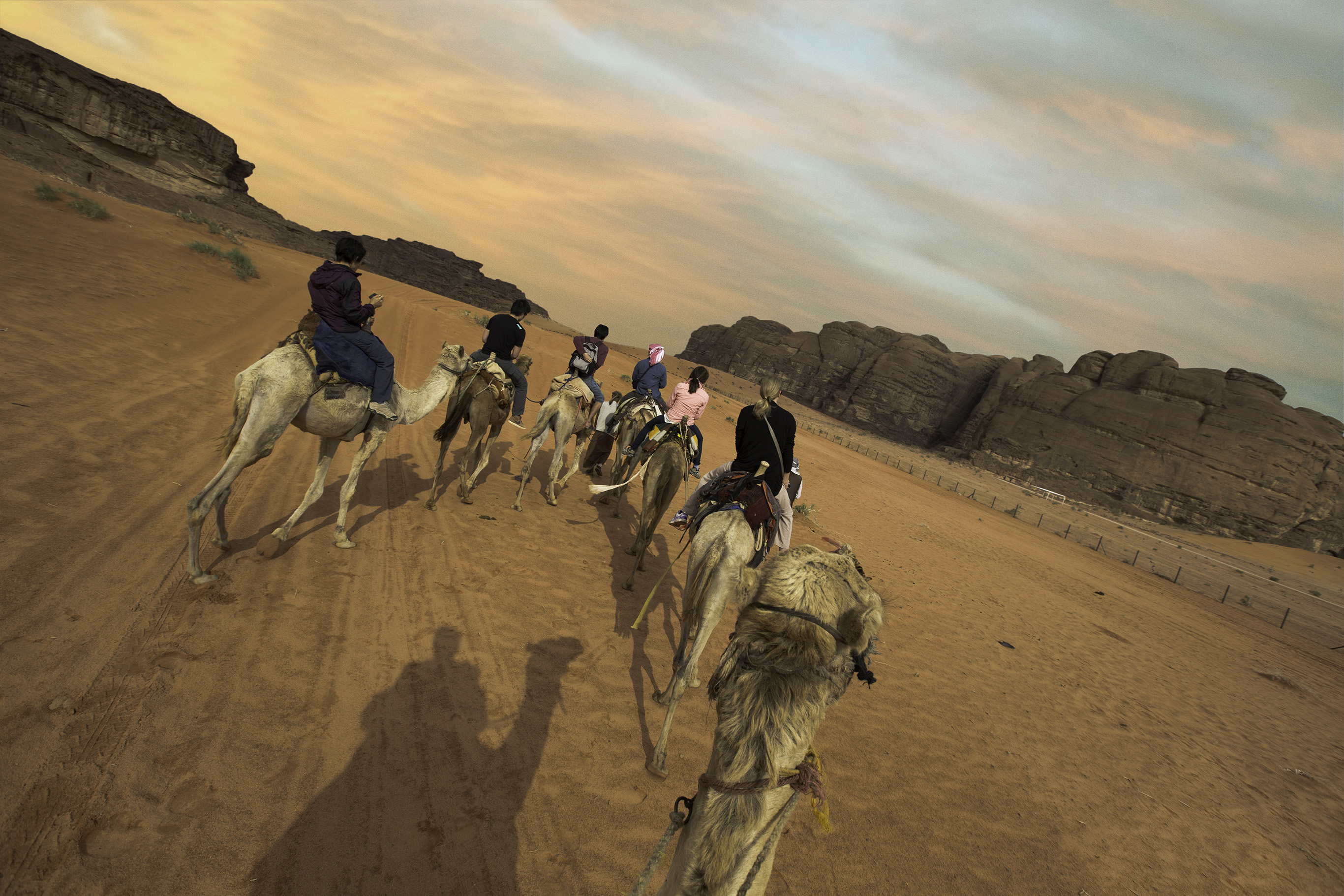 Everything you need to know about camel trekking