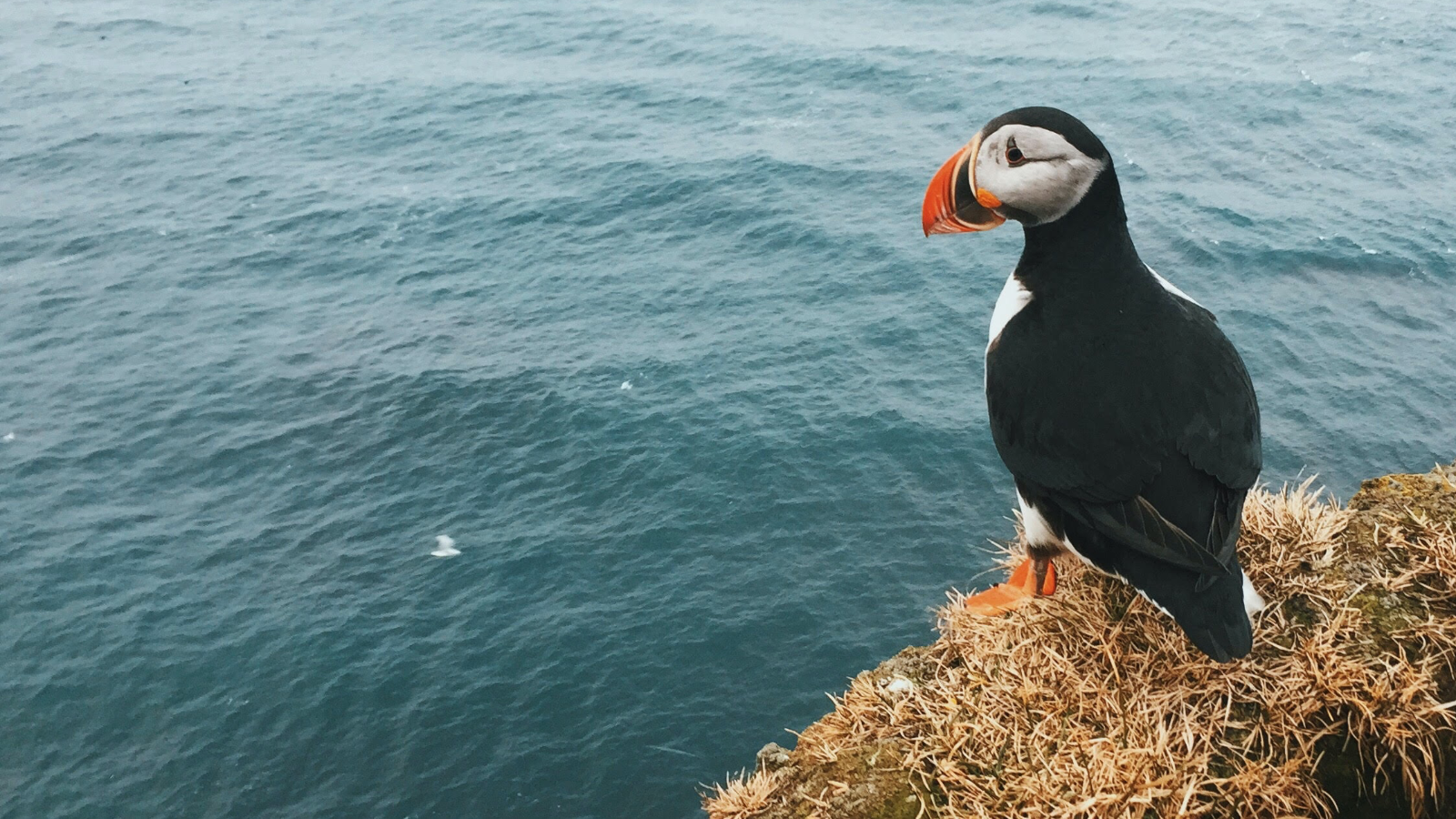 Fire up all five senses on an Iceland tour