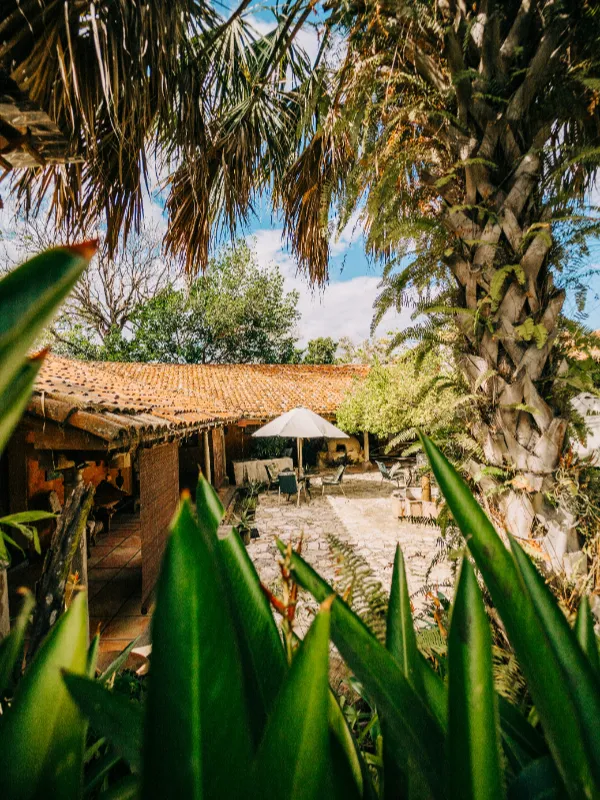 el-salvador-erick-chevez-tQnJmj9o5wM-unsplash