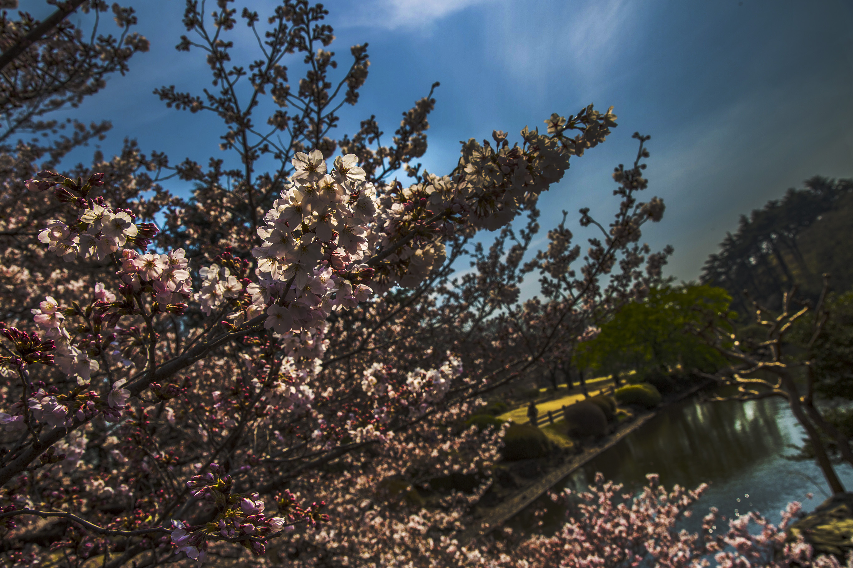 Touring Japan with my mother (again): A personal act of love and self-torture