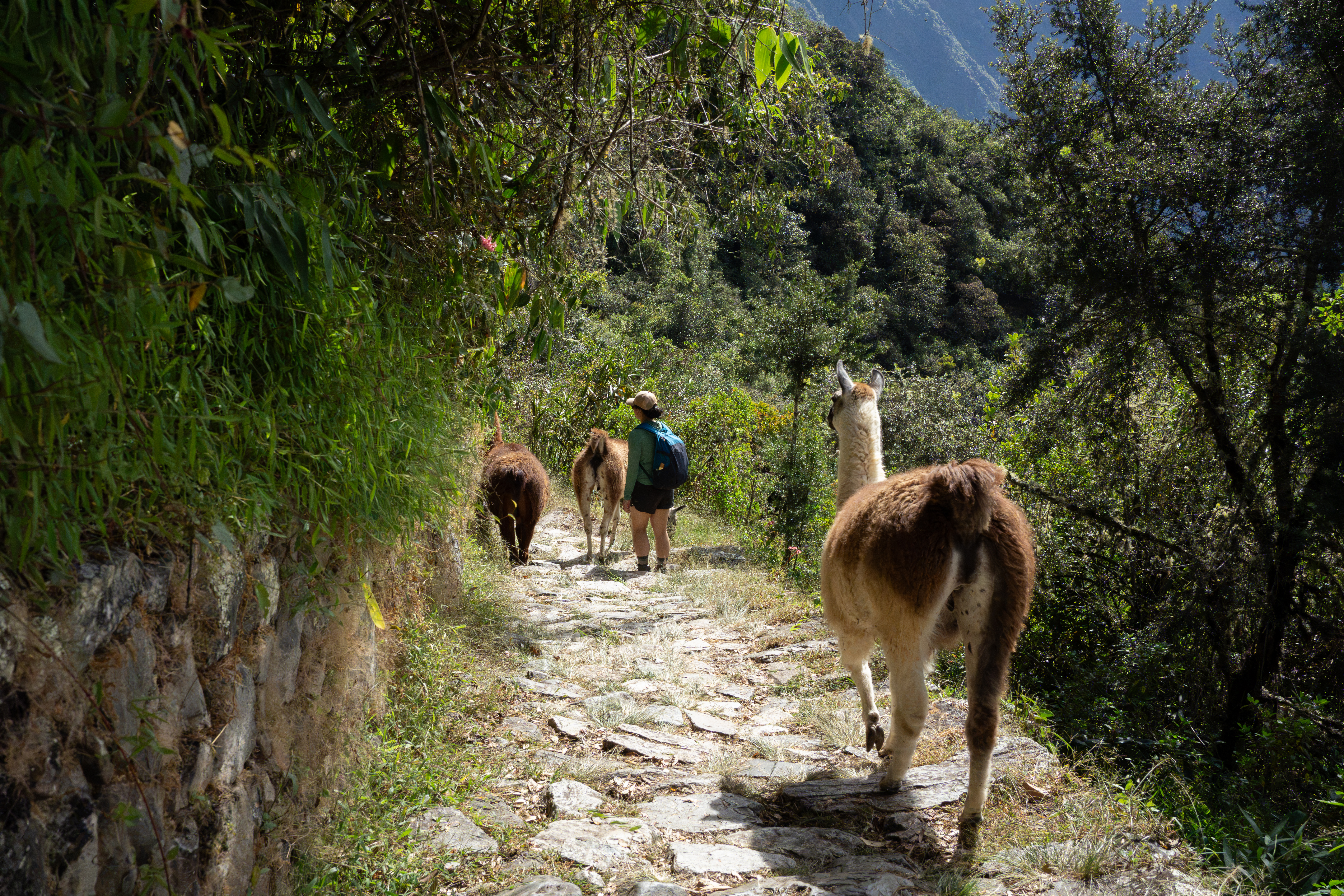 Beyond Machu Picchu: A photographer’s sensory journey through Peru