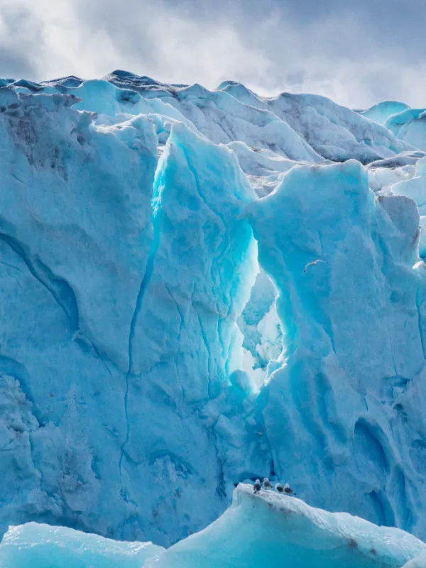 norway-GAdventures-Arctic-Norway-Svalbard-2013-ARC00907GB