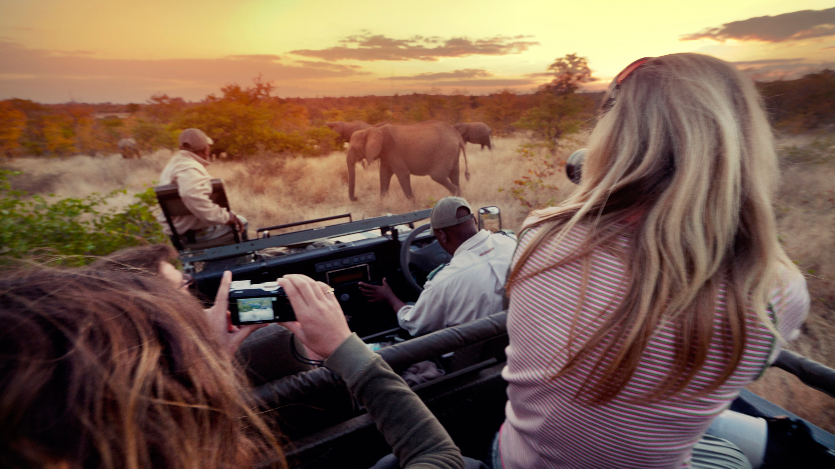Tips for taking photos on an African safari
