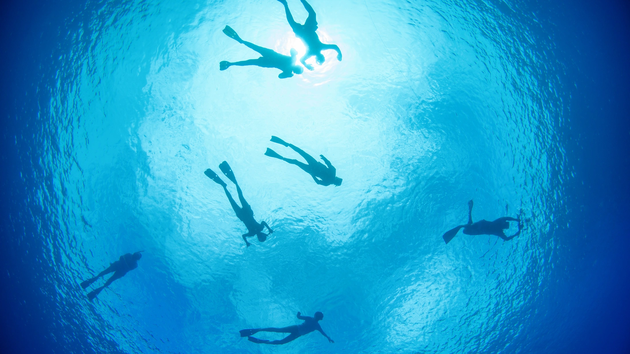 Underwater view looking up at six divers silhouetted against bright blue water and sunlight on the surface.