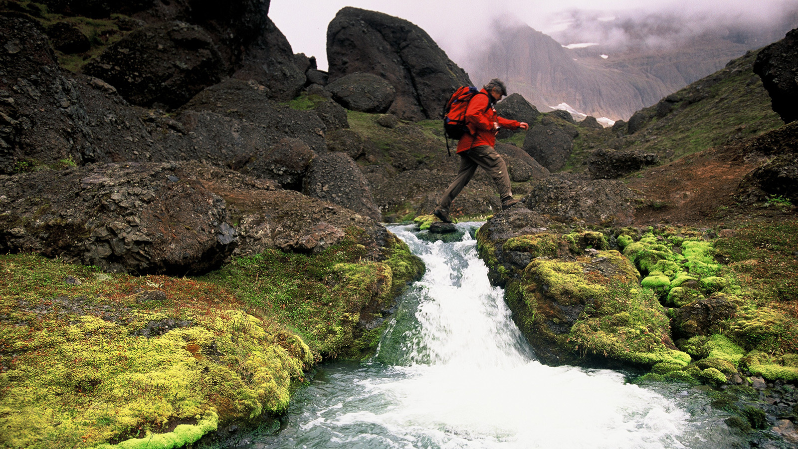 Trek alongside elves and puffins on an Eastern Iceland hiking tour