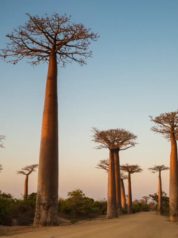 madagascar-GAdventures-Madagascar-2018-17