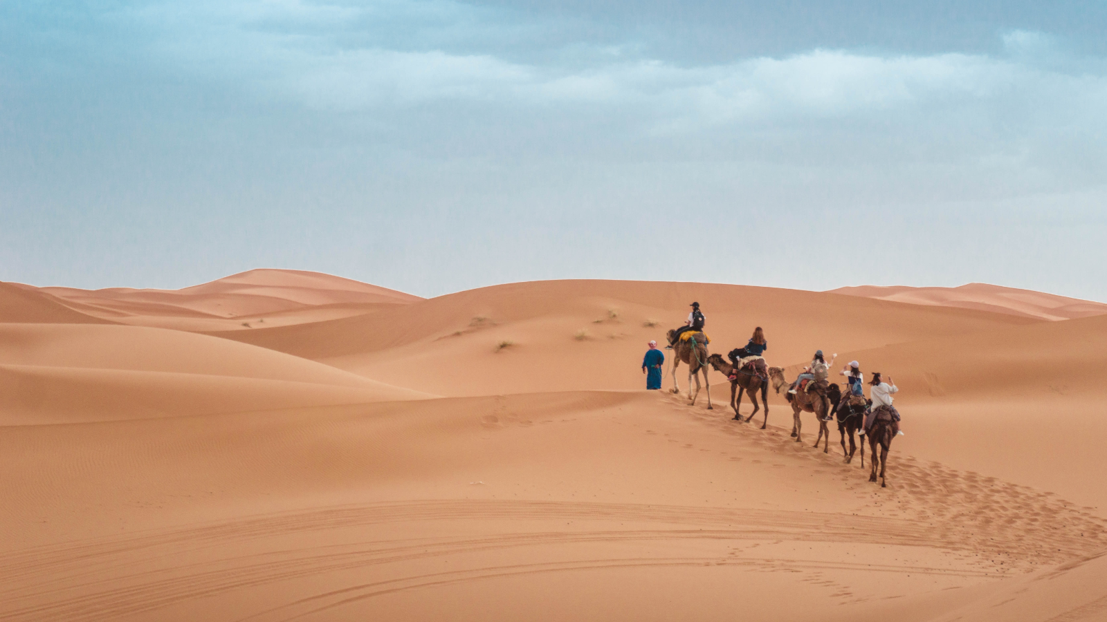 Feast your five senses on a Morocco tour