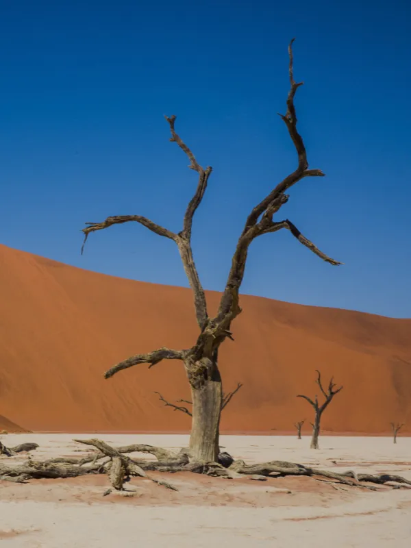 namibia-GAdventures-Namibia-NamibNaukluft-2017-0M4A3581
