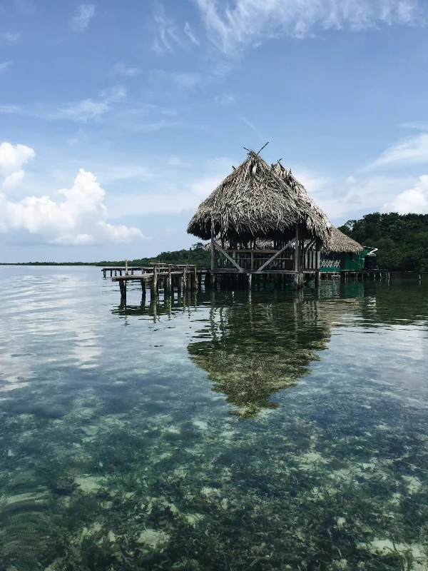 Thatched-roof hut on stilts over clear tropical waters, with wooden pier and lush green shoreline under blue sky.