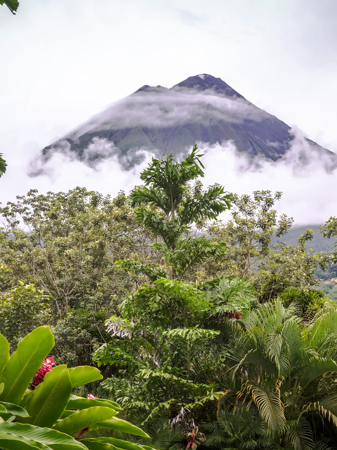 Volcanic mountain partially shrouded in clouds, viewed through lush tropical vegetation with green palms and foliage.