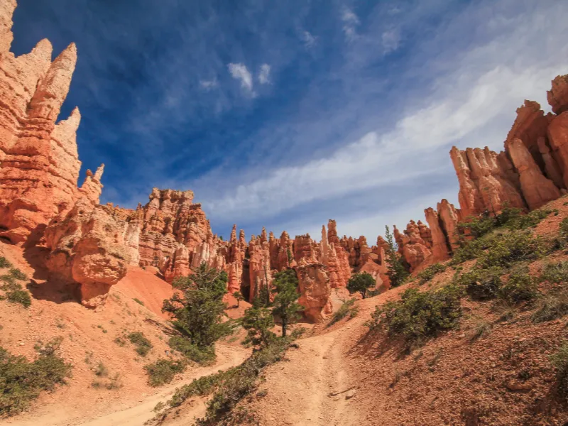 Hoodoos in Bryce Canyon