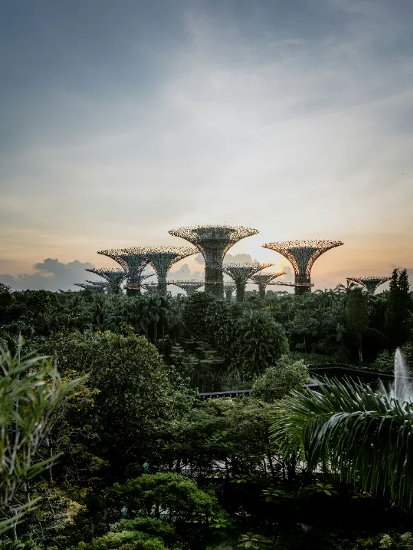 singapore-isaac-66h9h7gXotA-unsplash