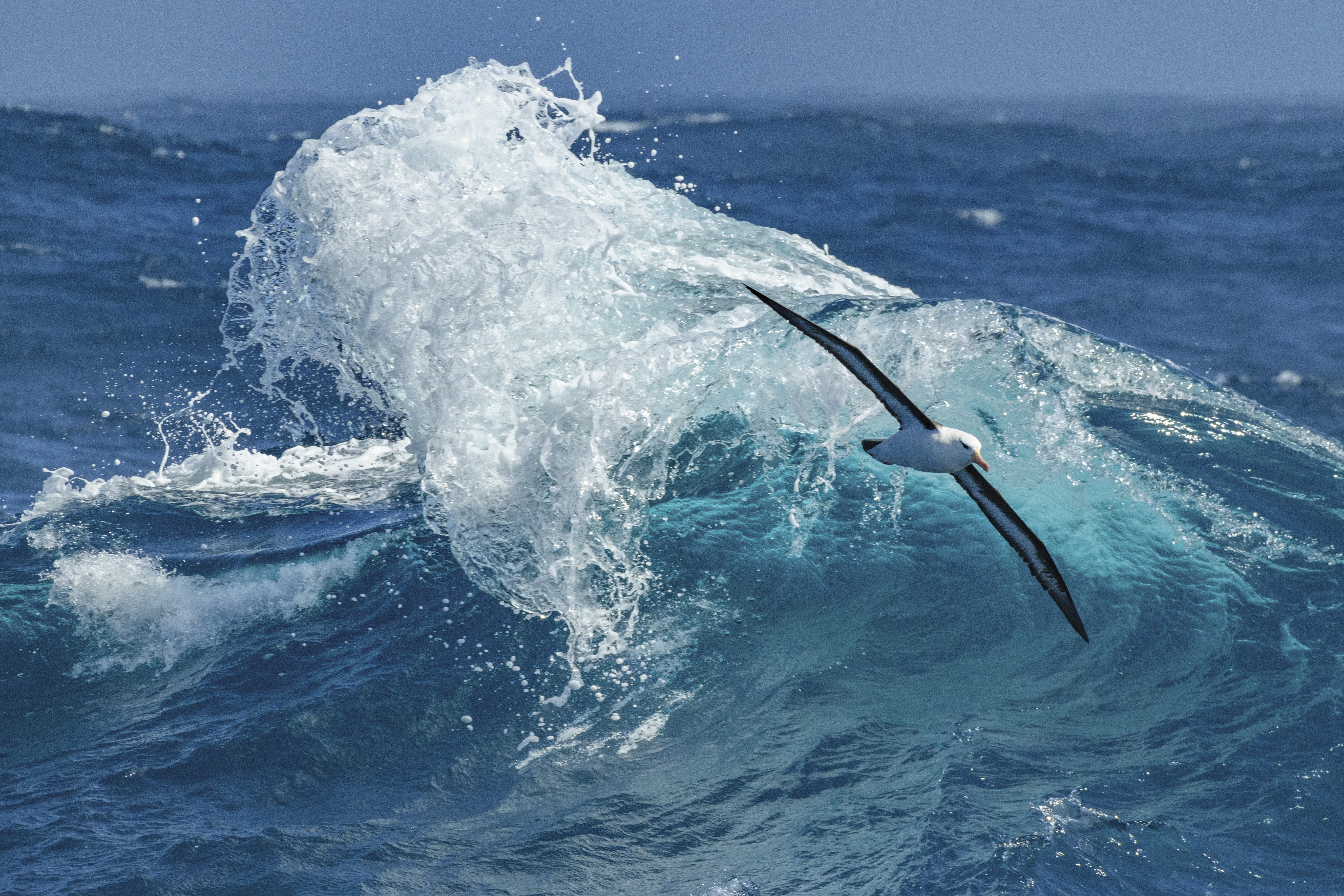 Drake passage