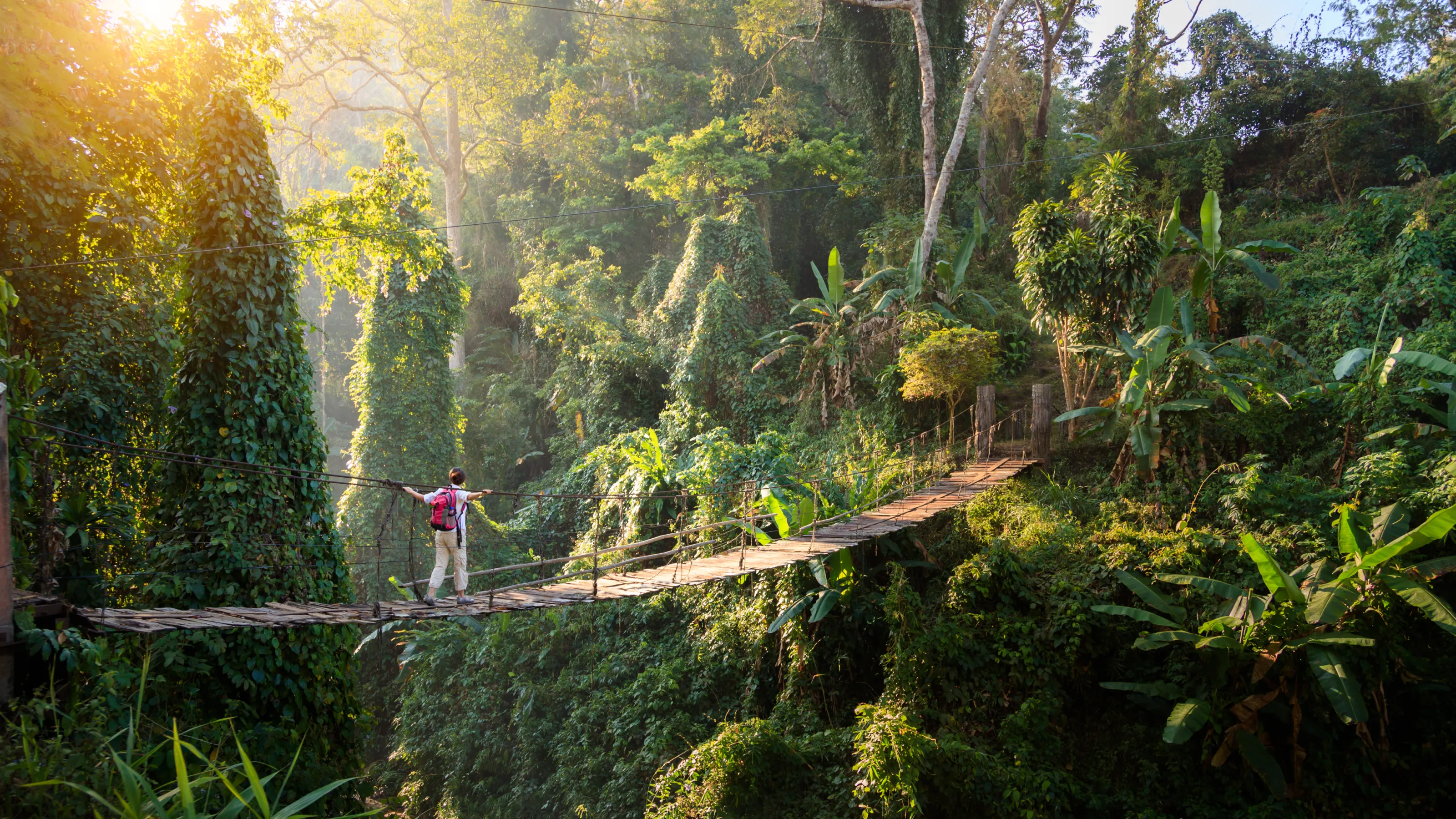 Hiking in Thailand: where to hit the trails