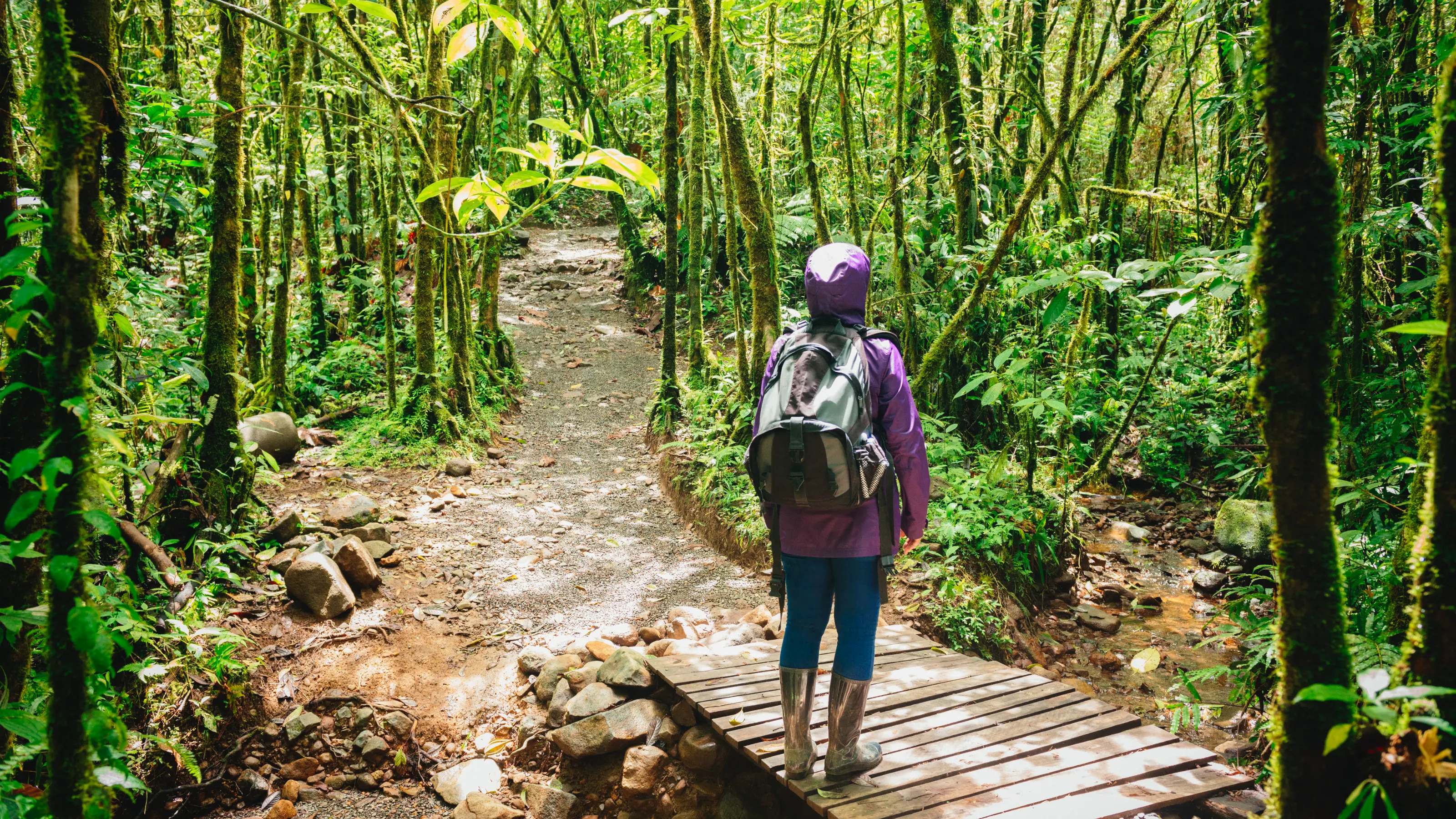 A month-by-month guide to Costa Rica’s weather