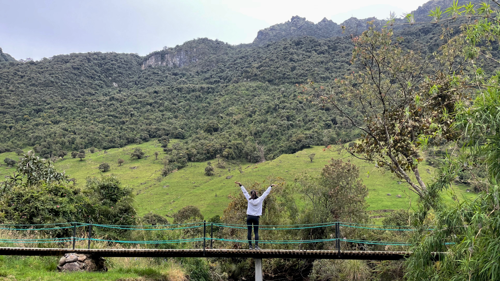 Beyond the Galápagos: my top 5 Ecuador experiences