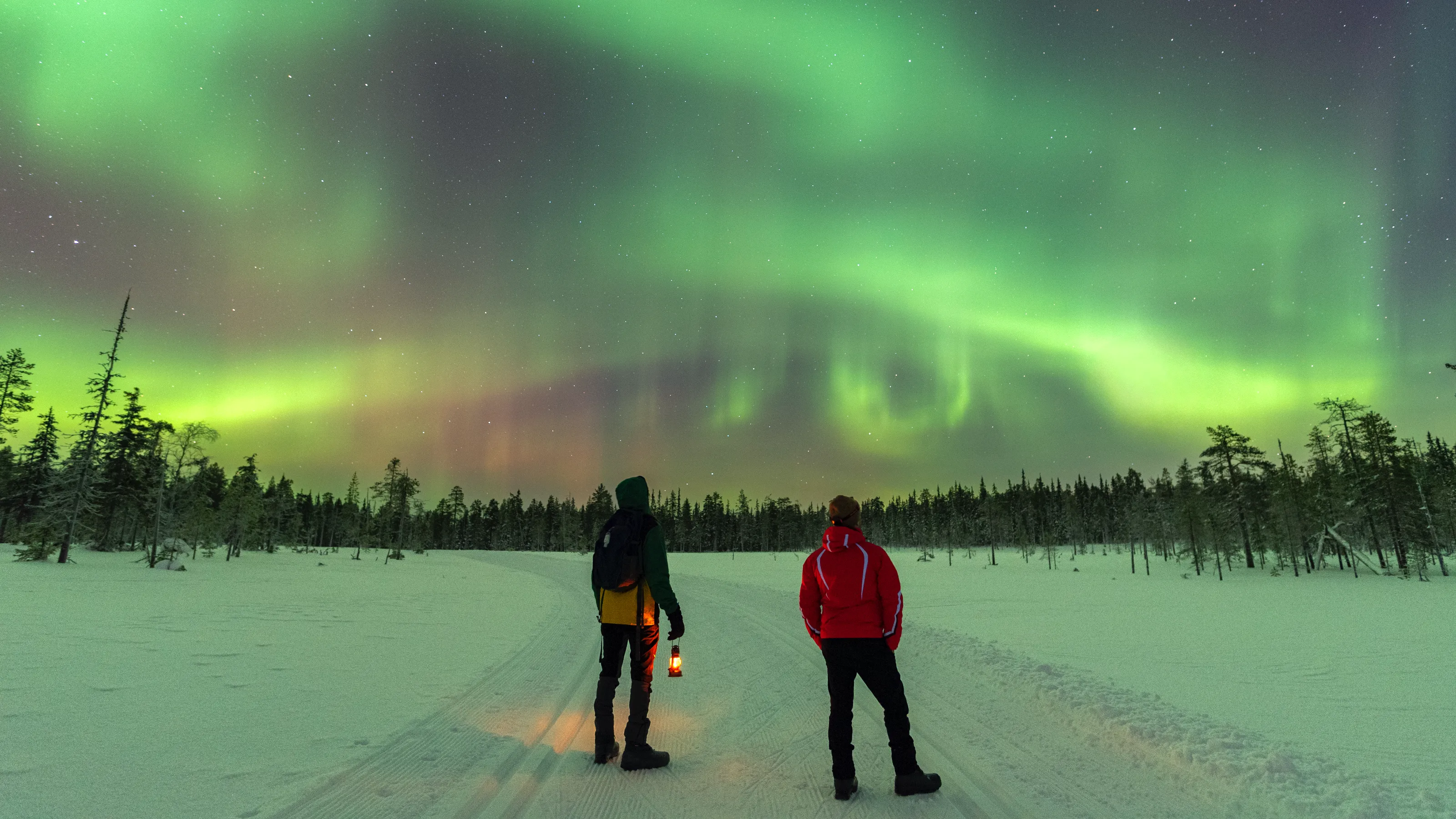 Northern Lights 101: your guide to the aurora borealis