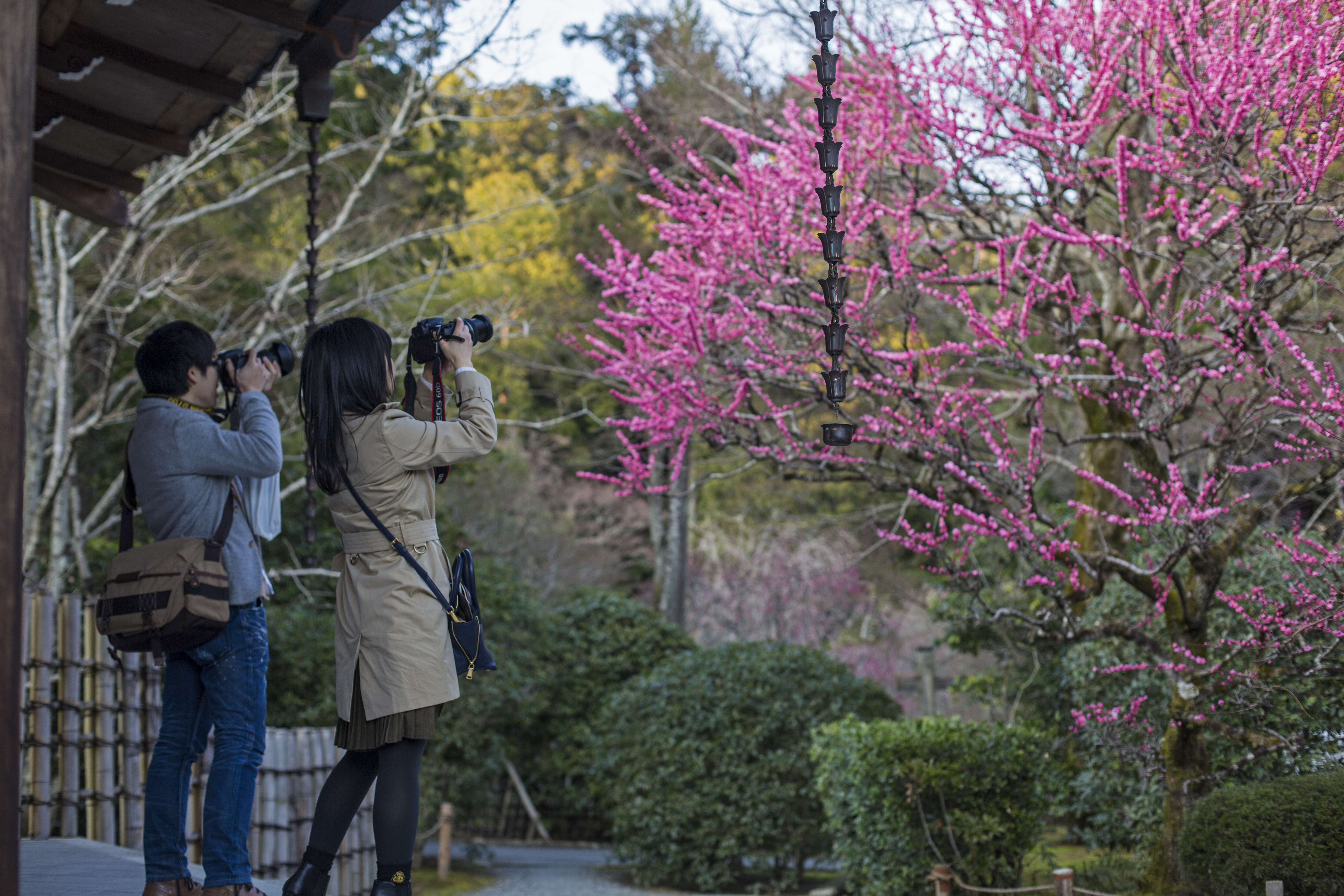 japan march