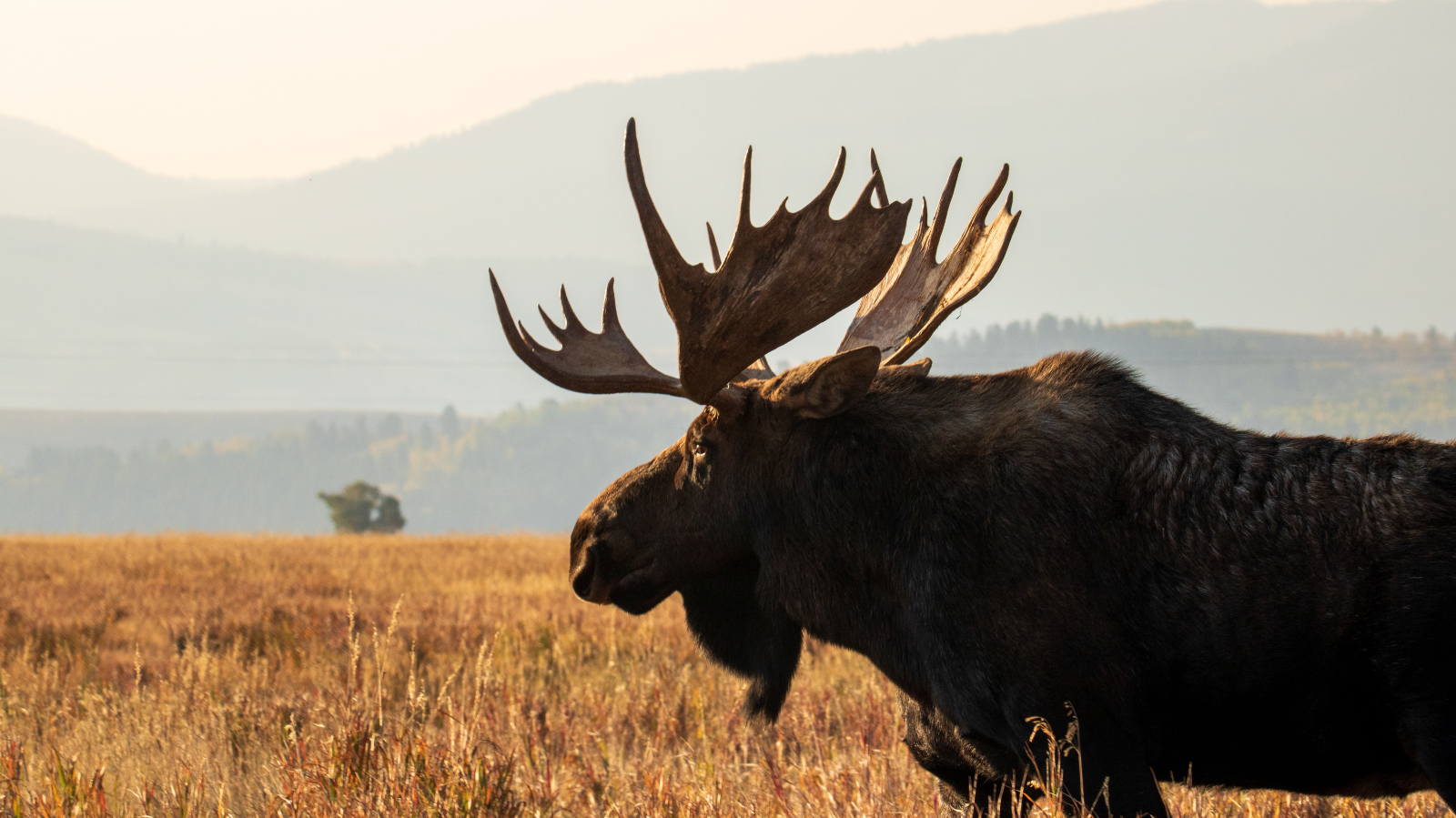 4 new reasons to love National Geographic Journeys