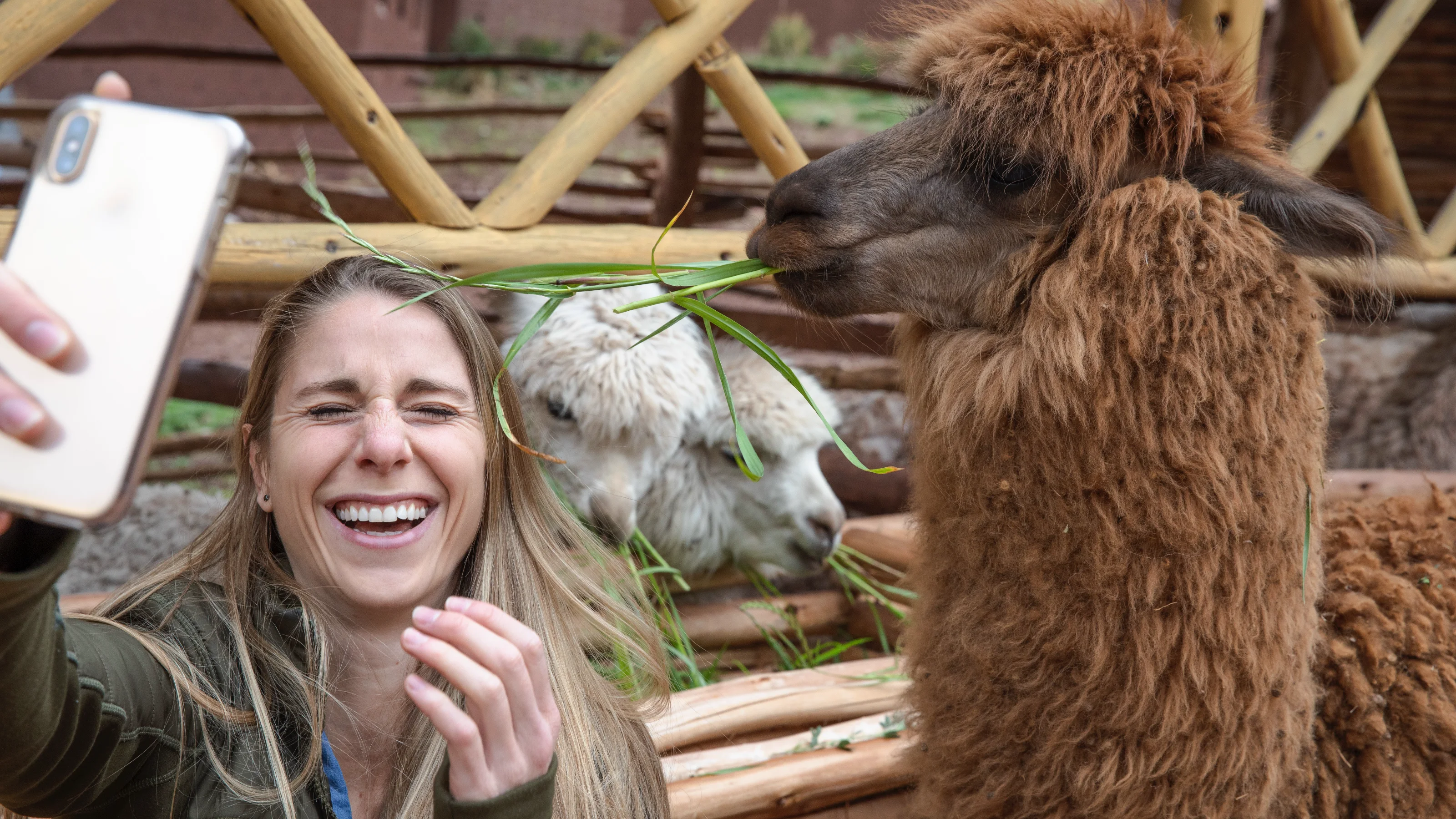 The go-to guide for solo travel in Peru