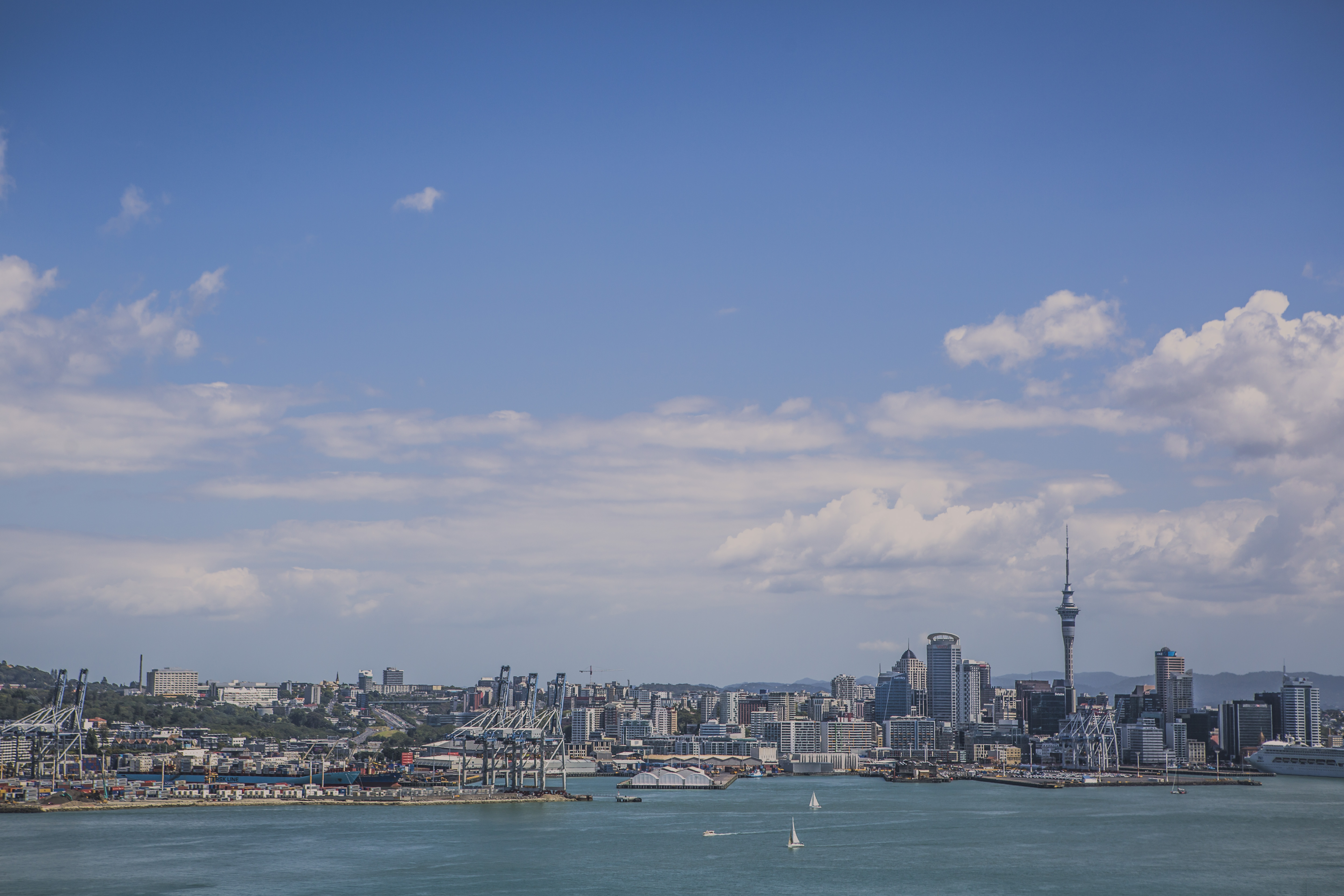 Where to eat in New Zealand: the best food stops for every budget