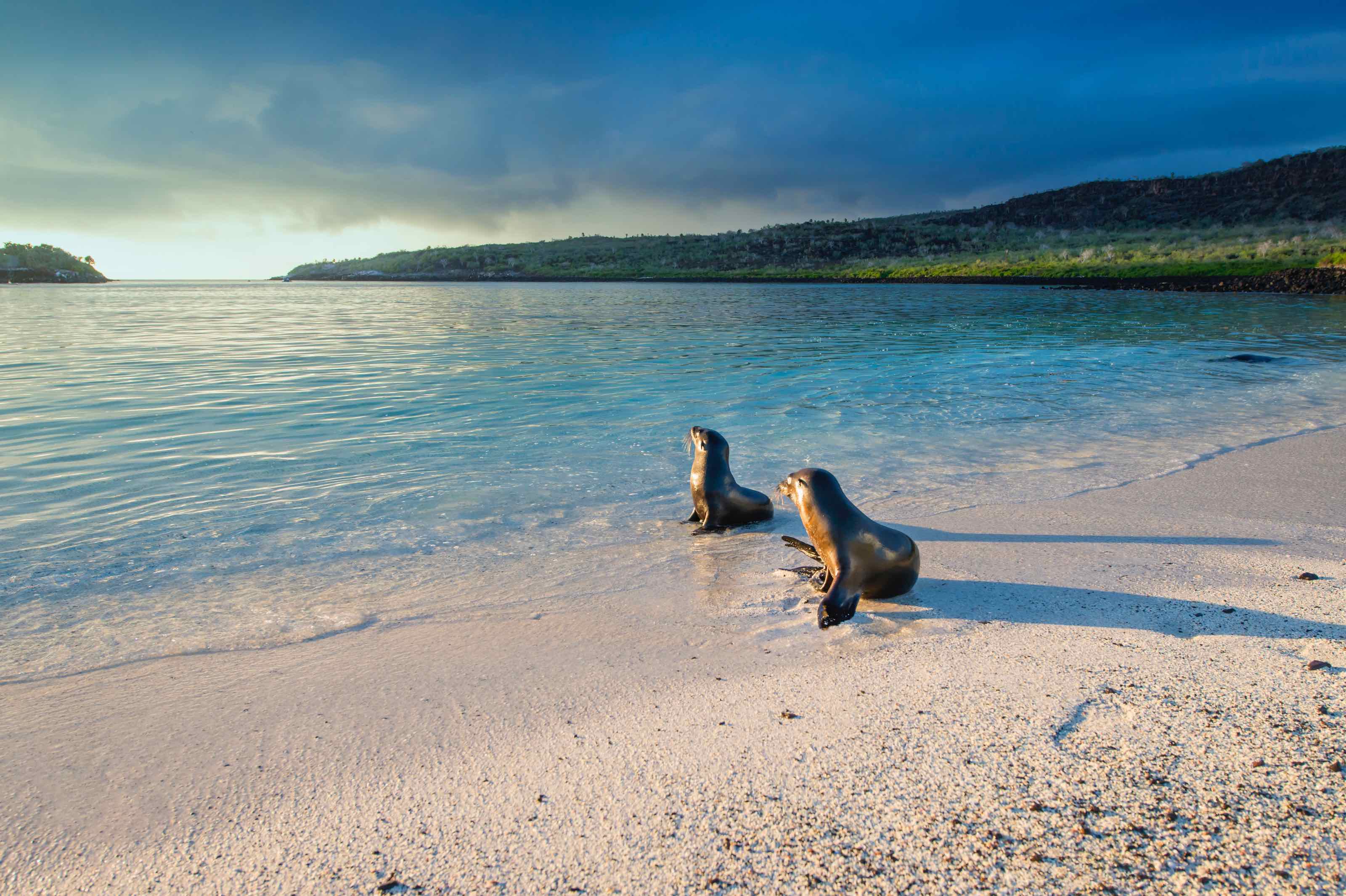 18-to-Thirtysomethings travel diaries: Reginald’s Galápagos adventure