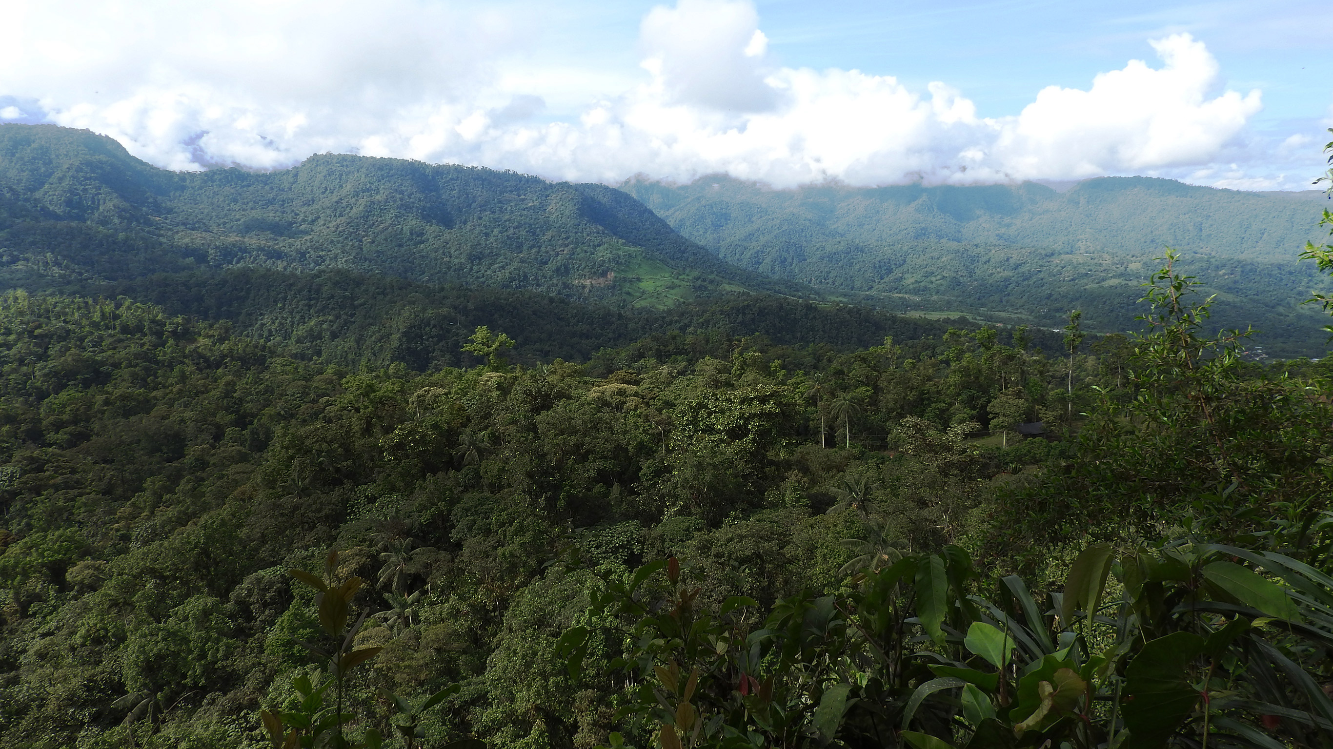 Top 4 day trips from Quito