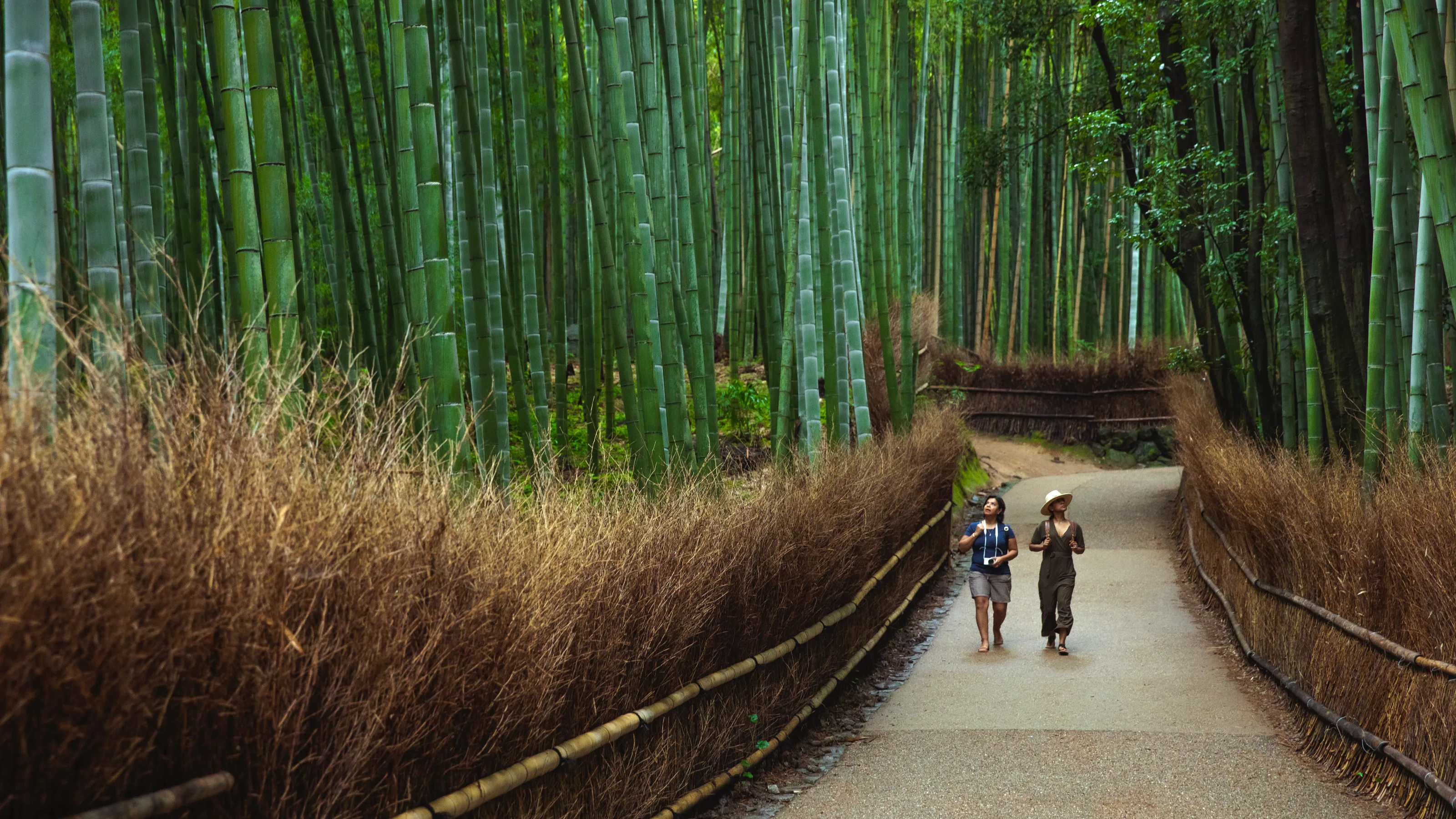 5 ways solo travel helps you meet new people