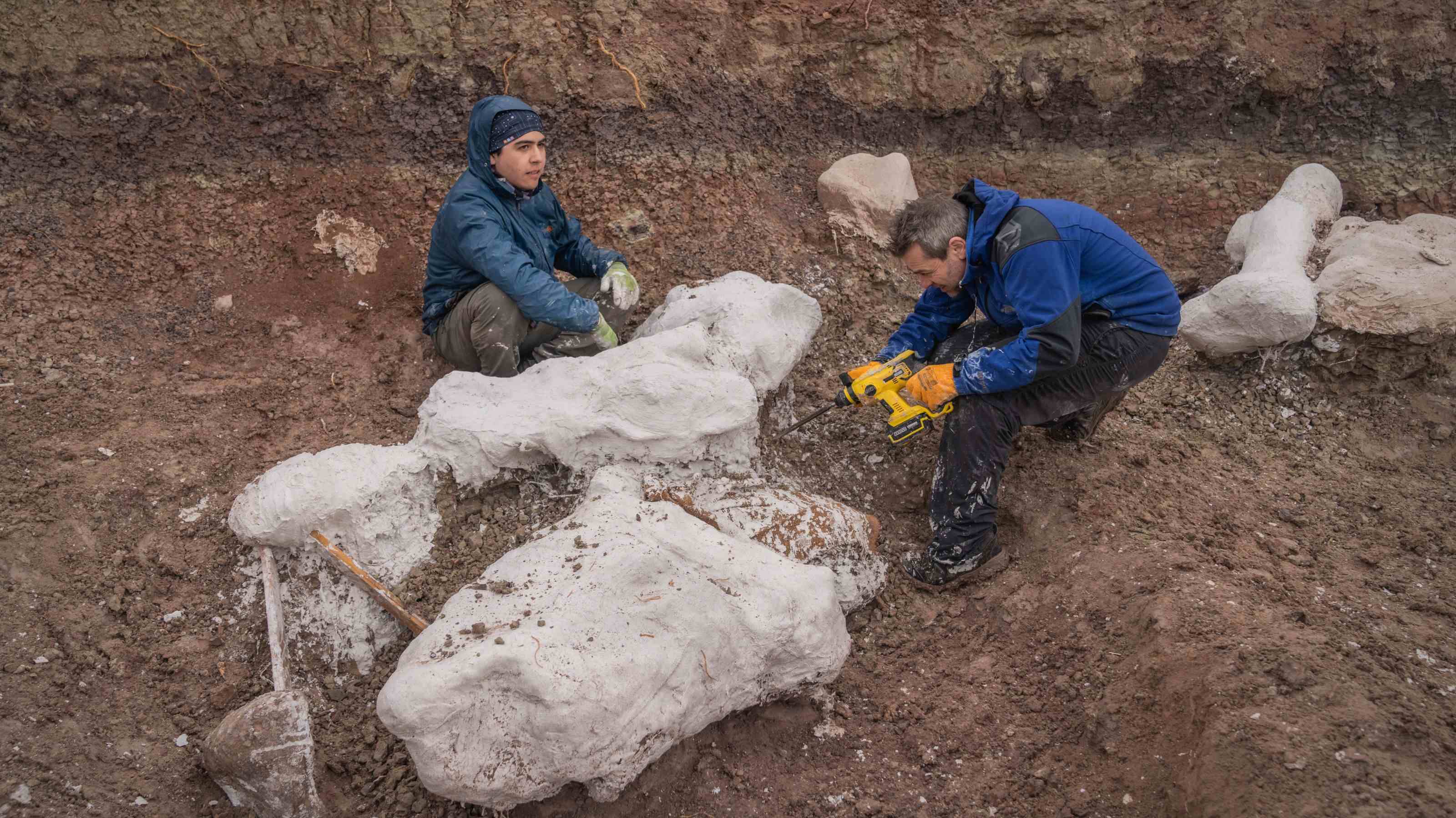This National Geographic Expedition Expert has been conducting research in Patagonia for 25 years