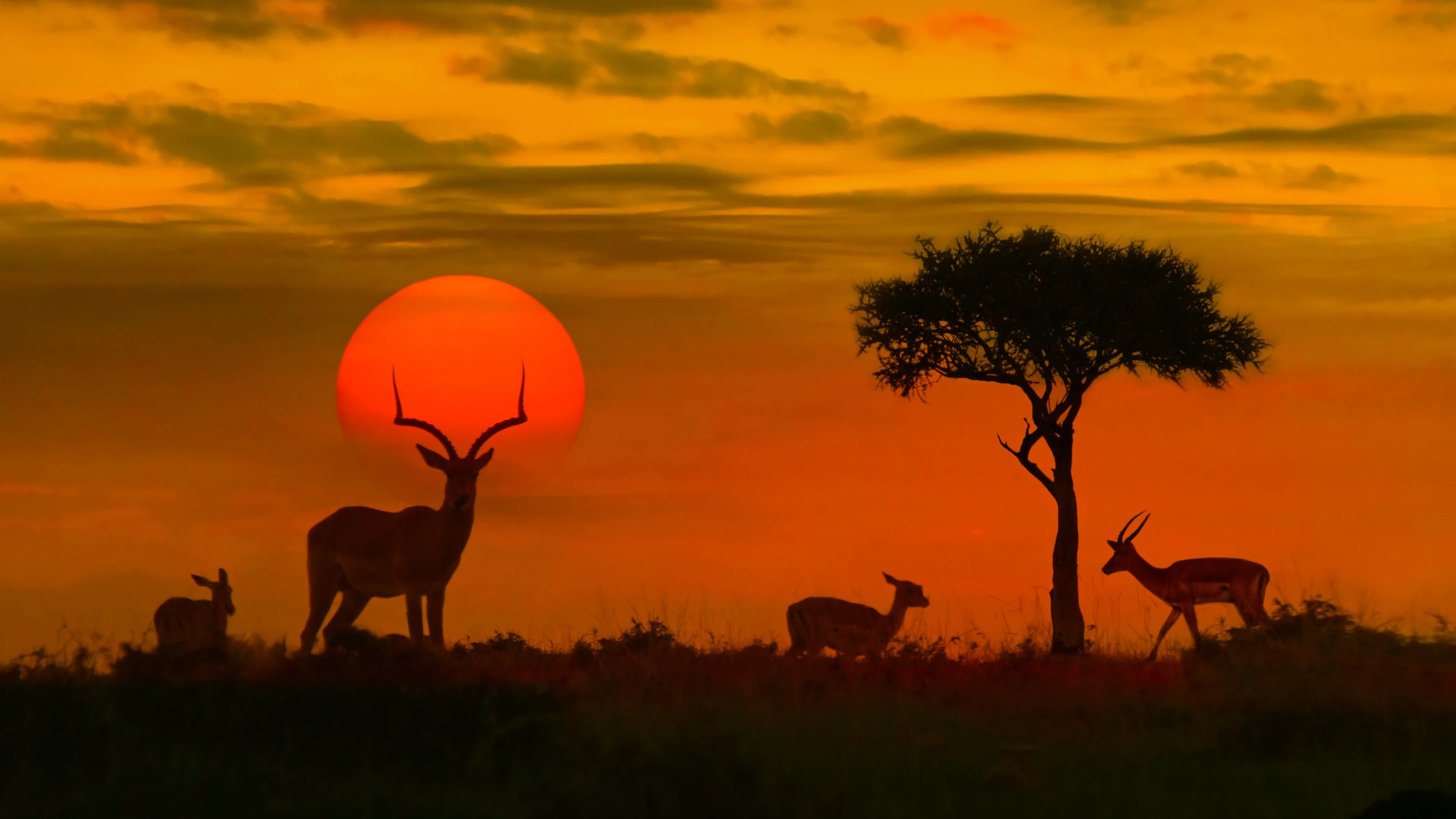 Is Kenya safe for travellers?