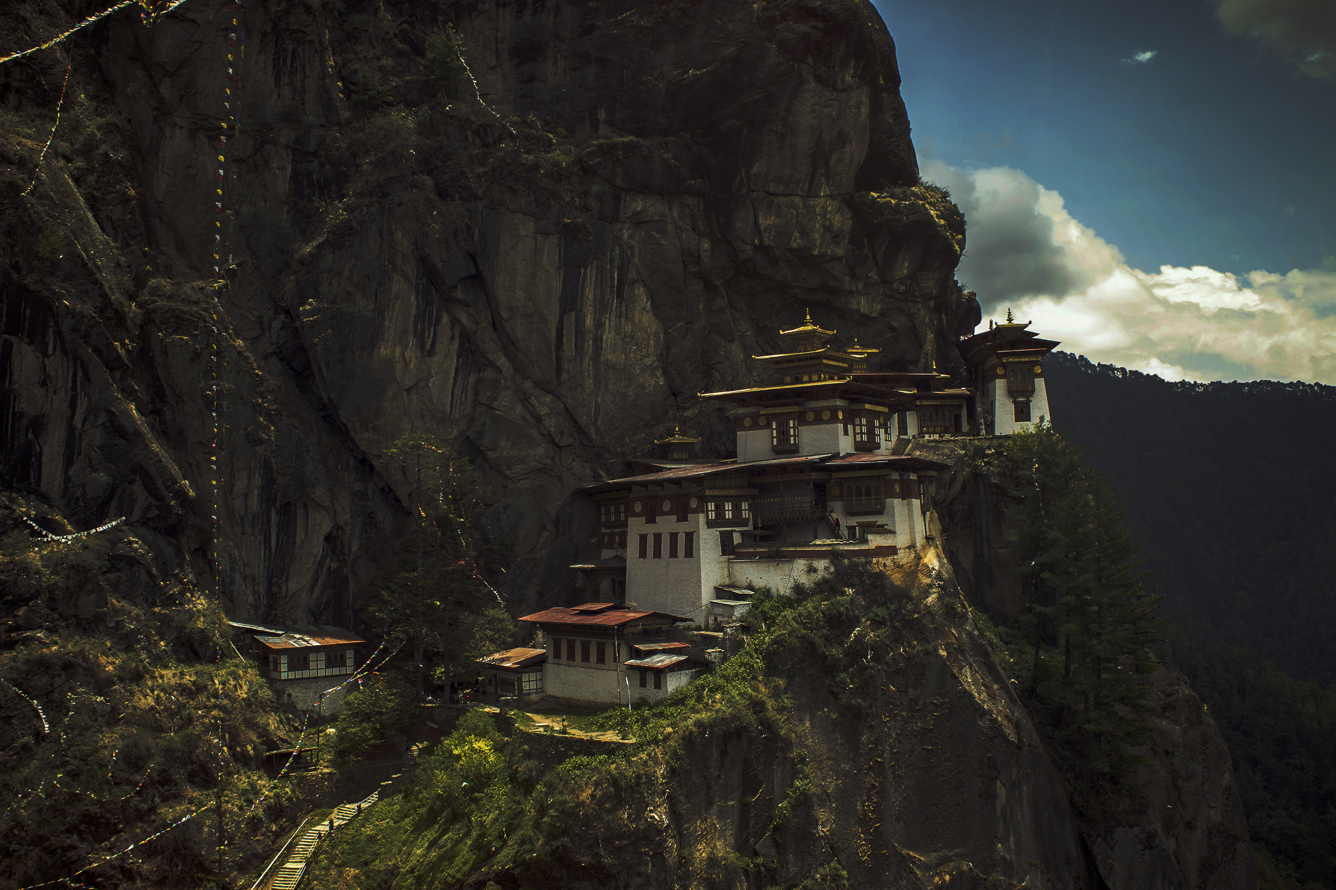 Why are the Bhutanese so obsessed with willies?