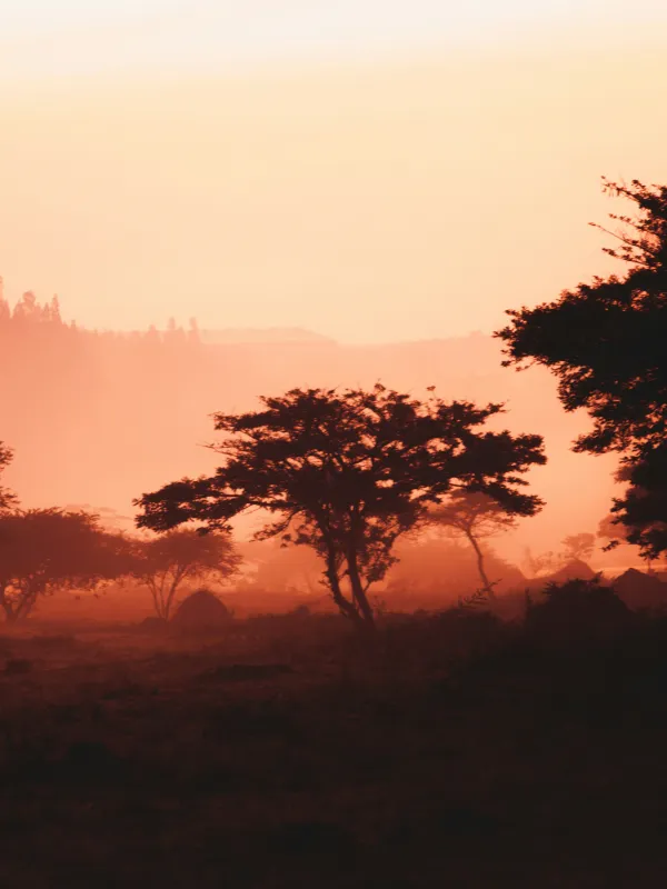 rwanda-maxime-niyomwungeri-z-lNmXoXt-k-unsplash