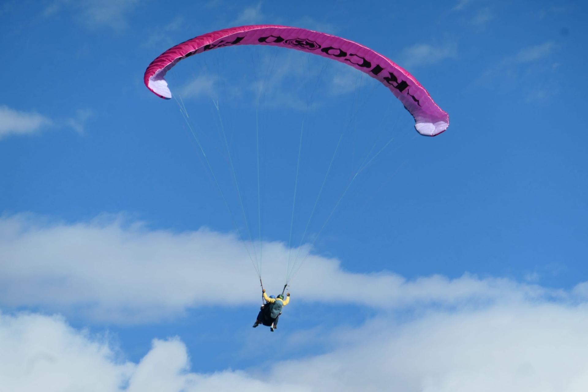 Image - Ally paragliding Traveller Ally paragliding high over some incredible scenery.