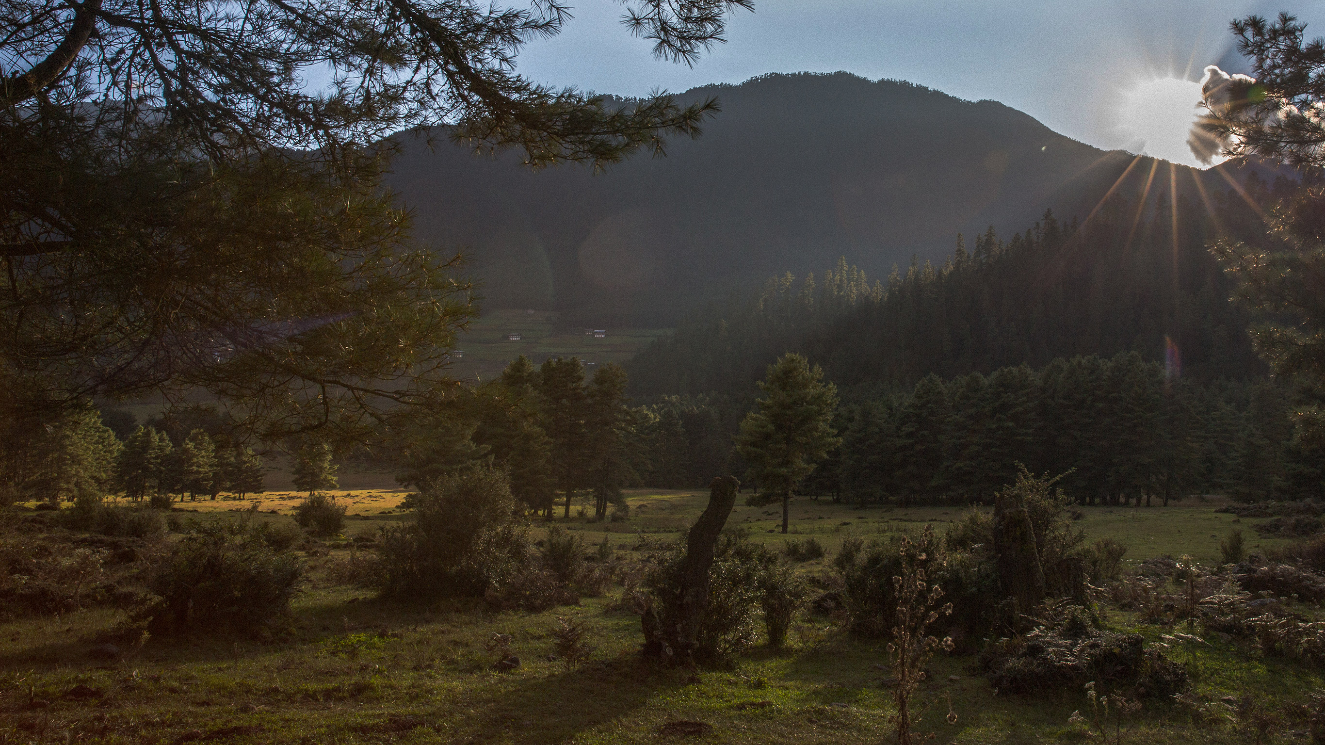A culinary journey to Bhutan