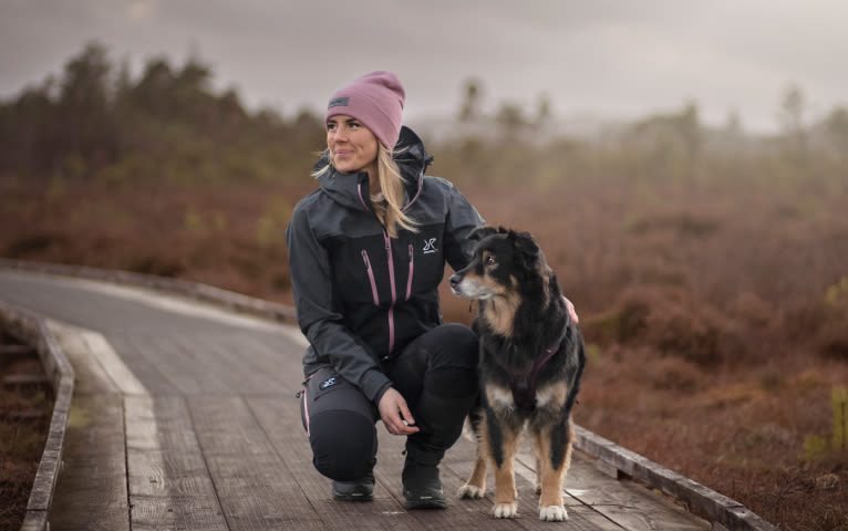 REVOLUTION COURIER RACE ANY OPINIONS visual data 4