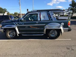 Newfie%205.jpg