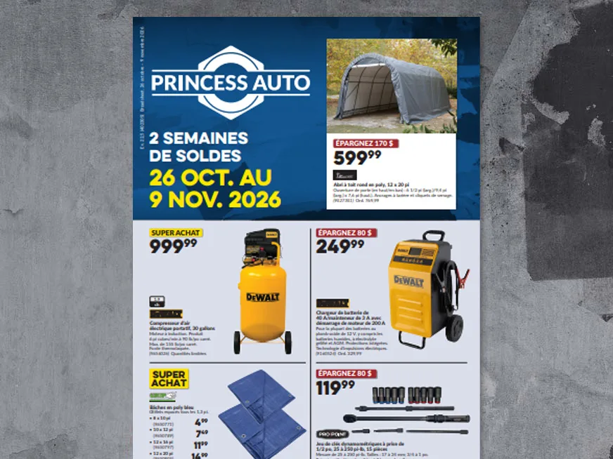 ÉCONOMIES AUTOMNALES EN COURS